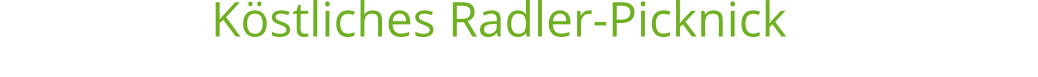Köstliches Radler-Picknick